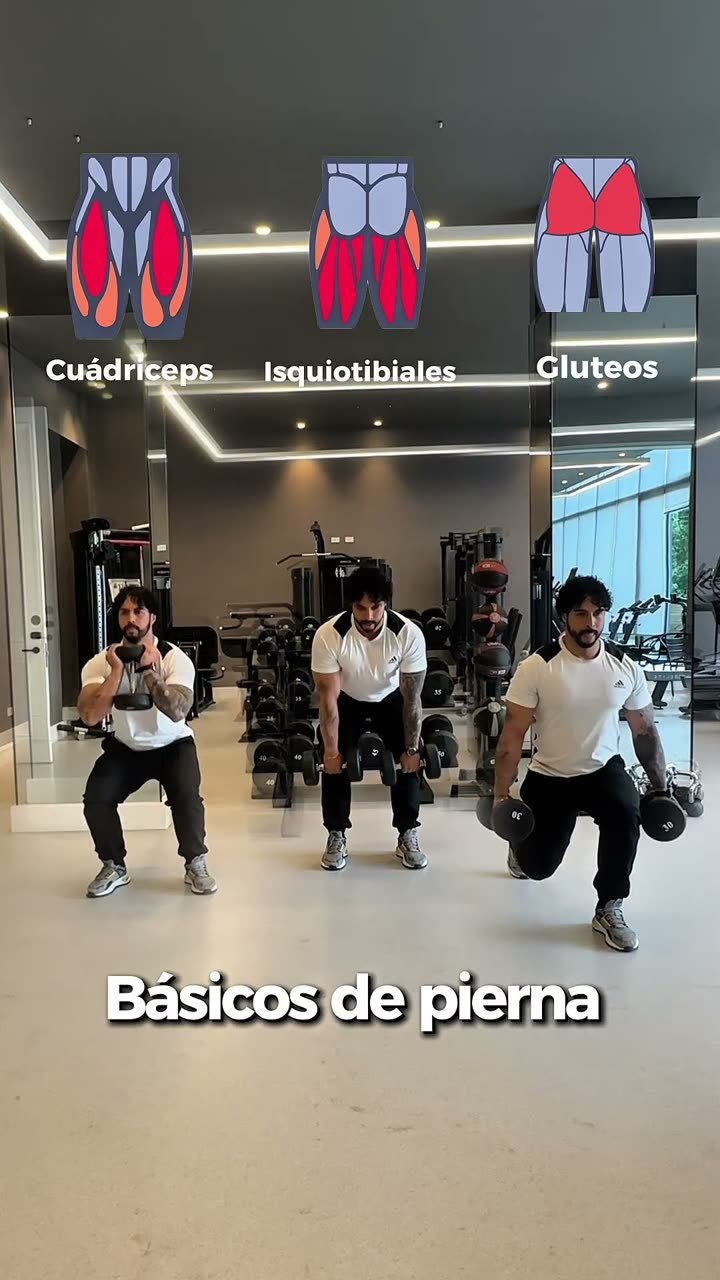 Básicos de pierna